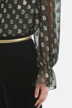 Lenticchia